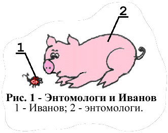 Энтомологи